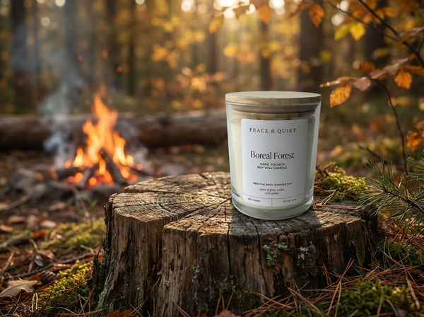 Boreal Forest soy candle