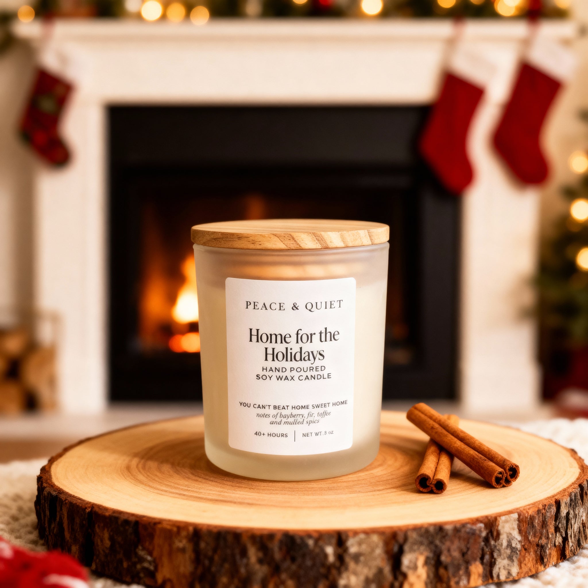 Home for the Holidays