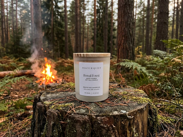 Boreal Forest soy candle