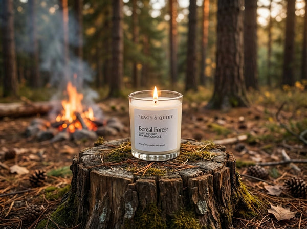 Boreal Forest soy candle